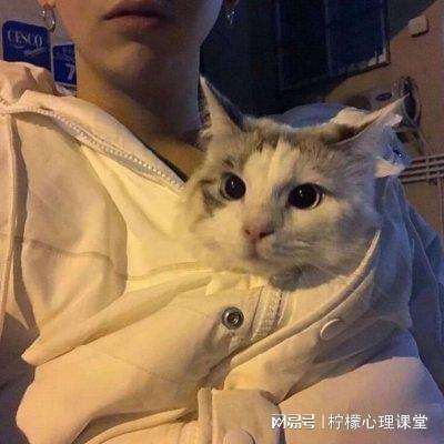 三国归来手机版下载